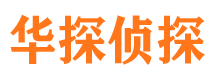 丰满侦探公司